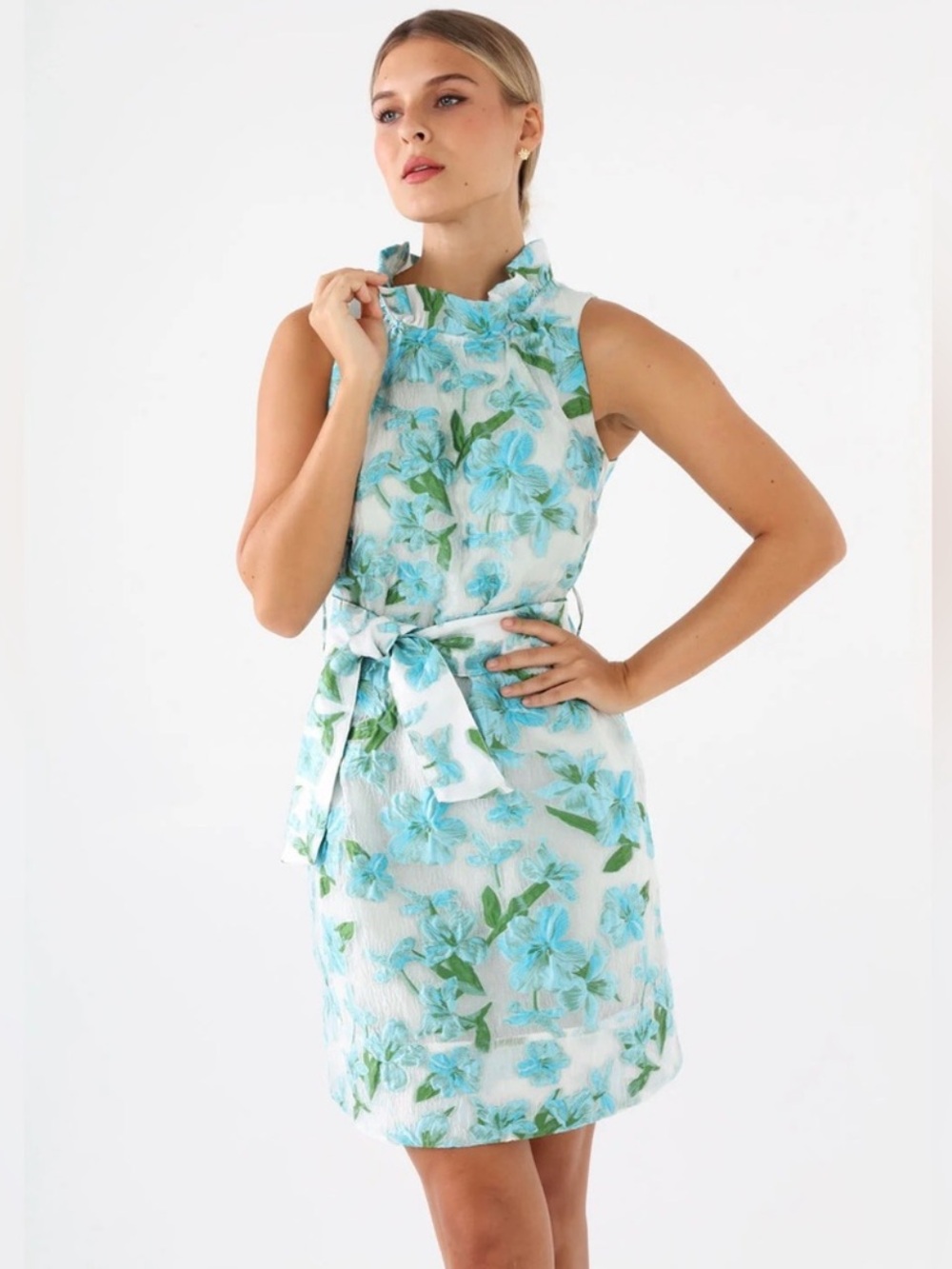 Abbey Glass Betty Jacquard Tropical Organza Mini Ruffle Dress Size XS NWT